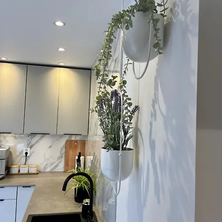 Exclusive In Historical House, Apartment