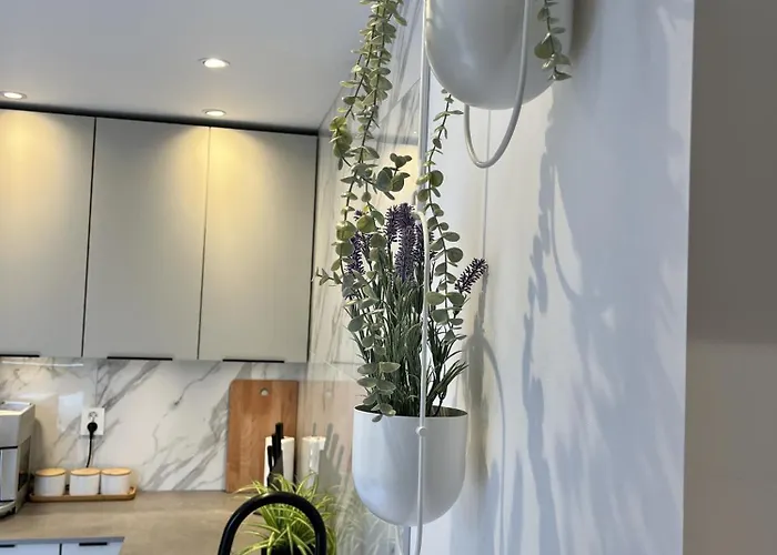 Exclusive In Historical House, Lägenhet